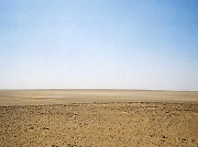 レップジャパン バイヤーズリポートエジプト1