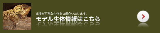 動物プロダクションのモデル生体情報はこちら