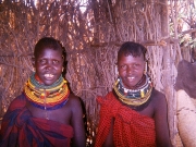 ビキール・ビキール捕獲作戦2