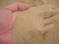 DSC01341.jpg