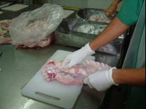 ワニの食肉販売