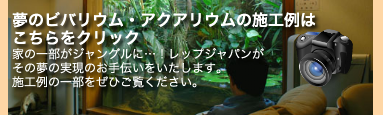 ビバリウム・アクアリムの施工もレップジャパン2