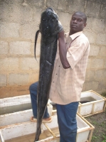 clip_image001.jpg