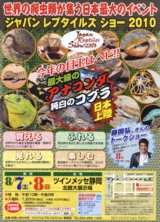 2010年第9回