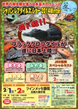 ジャパンレプタイルズショー2014冬レプチラシ
