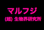 ジャパンレプタイルズショー2015夏レプ出展企業