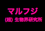 ジャパンレプタイルズショー2019夏レプ出展企業