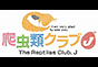ジャパンレプタイルズショー2021冬レプ出展企業
