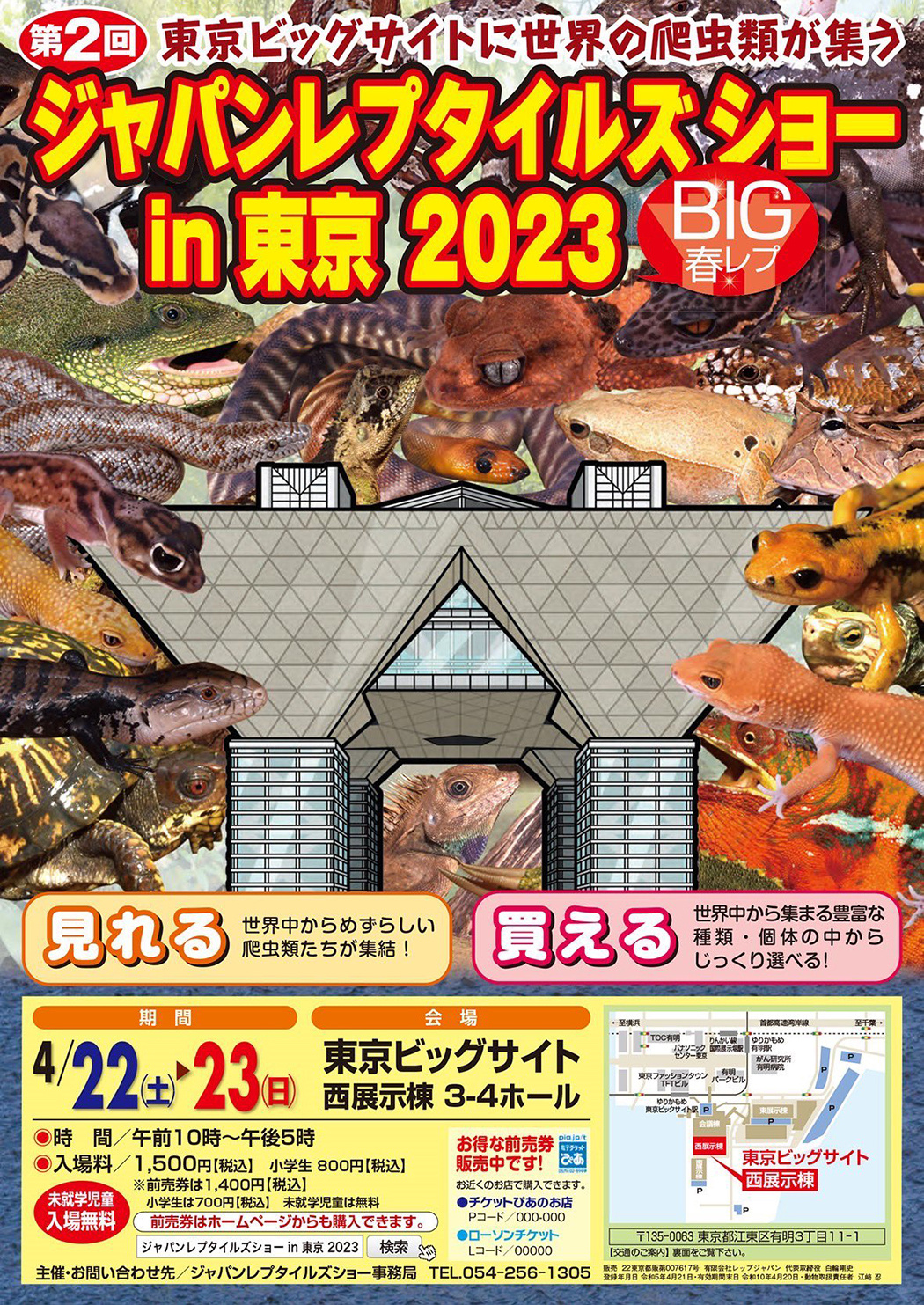 BIGレプ2023春のチラシ