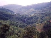 レップジャパン バイヤーズリポートスリランカ編1