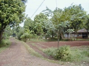 レップジャパン バイヤーズリポートインドネシア編1