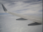 レップジャパンのバイヤーズレポート 大韓民国編