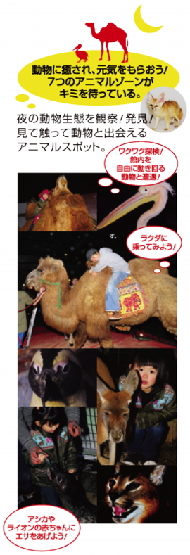 ツインメッセ春の家族向kえイベント_ズーズーナイト