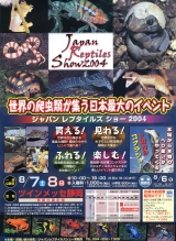2004年第3回