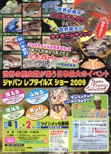 2009年第8回