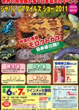 ジャパンレプタイルズショー2011チラシ