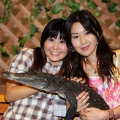 japan reptiles show 09 image
