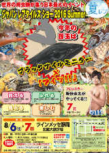 JRS2016Summerのチラシ