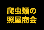 ジャパンレプタイルズショー2022BIGレプテーブル出展者