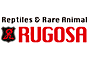 ジャパンレプタイルズショー2023冬レプ出展企業