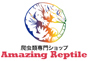 ジャパンレプタイルズショー2022BIGレプ出展企業