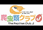 ジャパンレプタイルズショー2023春BIGレプテーブル出展者