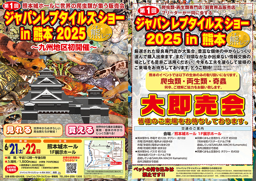 熊レプ2025チラシ