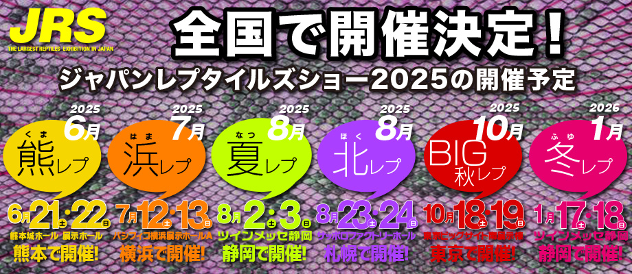 bbnr2025sc5.jpg