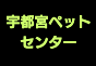 ジャパンレプタイルズショー2026冬レプテーブル出展者